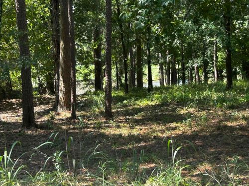 4-1191 Lakeview Ct, Greensboro, GA, 30642-3780 | Card Image