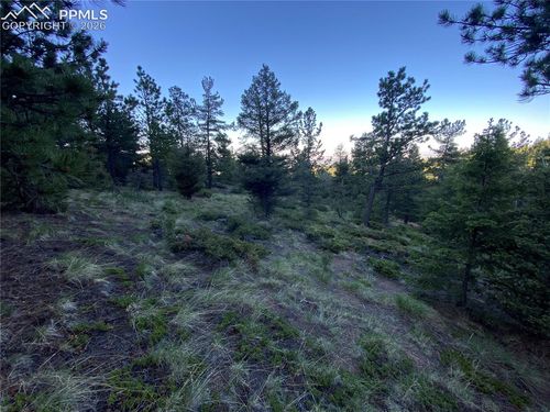 285 Forest Rd, Manitou Springs, CO, 80829 | Card Image