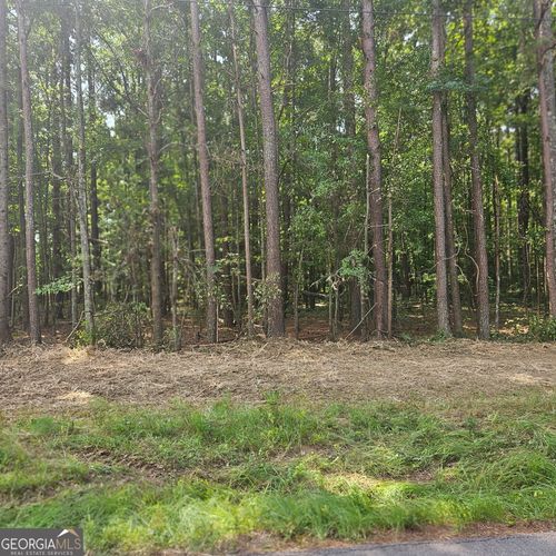 0 Academy Ln, Rutledge, GA, 30663 | Card Image