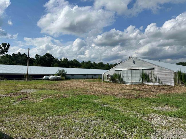 View of yard with an outdoor structure | Image 32