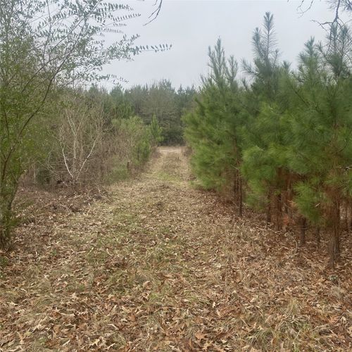 908 Wpa Rd, Mansfield, LA, 71052-5446 | Card Image