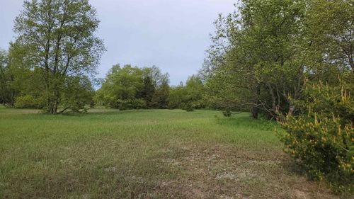 00 Weldon Rd, Thompsonville, MI, 49683 | Card Image