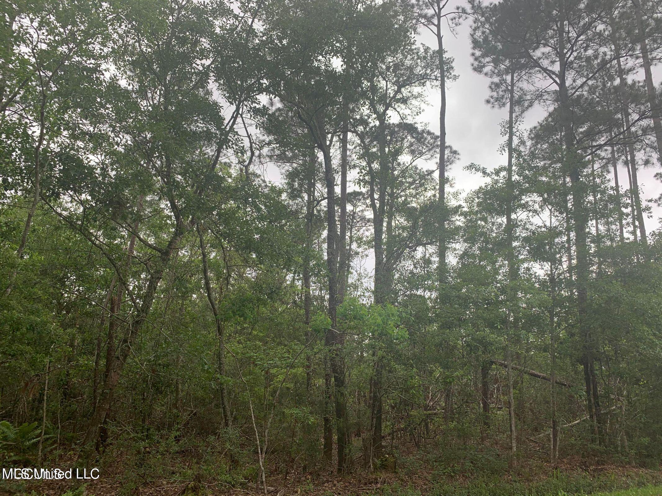 Kiln Waveland Cutoff Rd, Bay Saint Louis, MS 39520