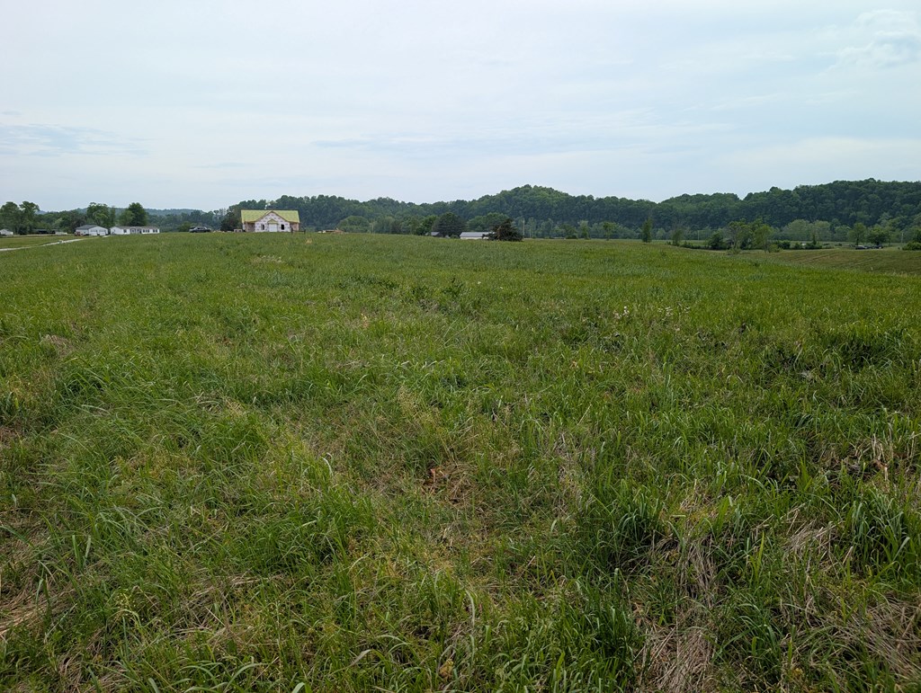 Land in Burkesville 2