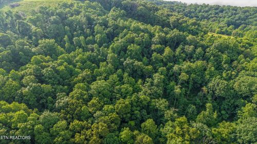 Lot 2 Graves Hollow Rd, Maynardville, TN, 37807 | Card Image
