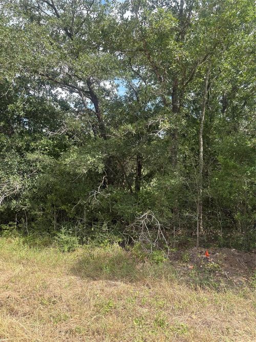 3450 Big Horn Ln, Caldwell, TX, 77836 | Card Image