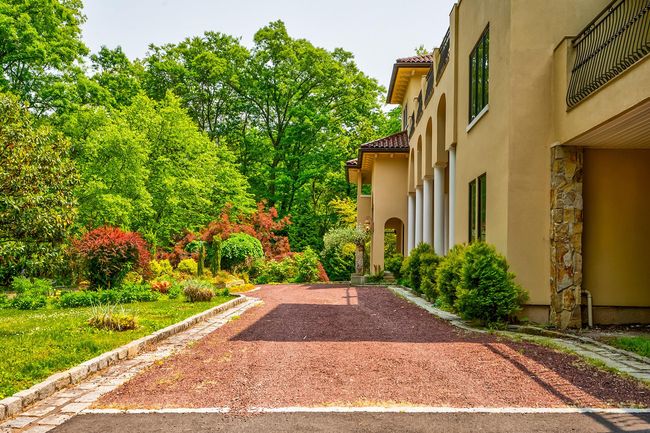 View of yard | Image 18