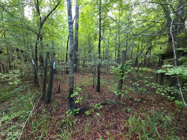 0 River Rd. Road, Home with 0 bedrooms, 0 bathrooms and null parking in Bascom FL | Image 10