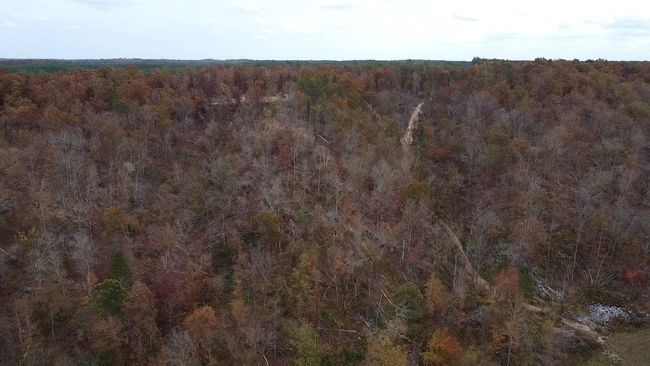 0 Mc Cord Hollow Rd, Home with 0 bedrooms, 0 bathrooms and null parking in Hohenwald TN | Image 16