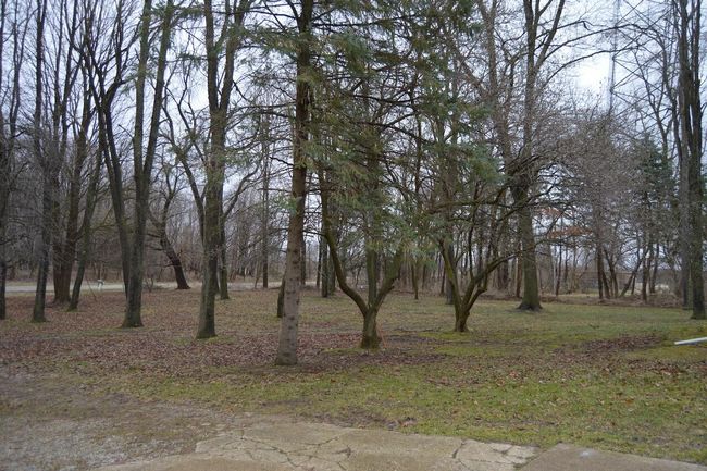 Front Yard | Image 4