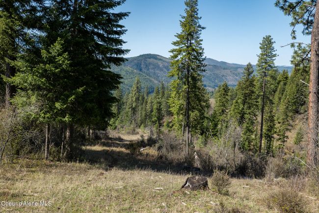 262 North Side Road, Home with 0 bedrooms, 0 bathrooms and null parking in Calder ID | Image 64