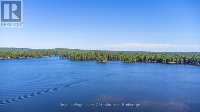 1358 Kushog Lake Rd, House other with 4 bedrooms, 3 bathrooms and 6 parking in Algonquin Highlands ON | Image 45