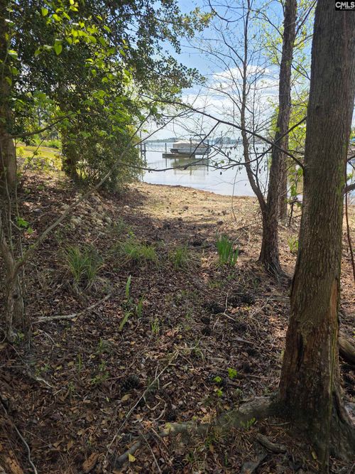 118 Club Court, Chapin, SC, 29036-8412 | Card Image