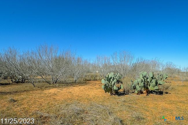 4 Us Hwy 85 Street, Home with 0 bedrooms, 0 bathrooms and null parking in Dilley TX | Image 13