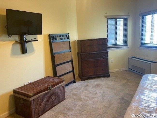 APT-125 - 725 Miller Ave, Condo with 1 bedrooms, 1 bathrooms and 2 parking in Freeport NY | Image 16
