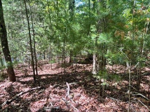 LOT 2 Mount Pleasant Rdg, Blairsville, GA, 30512-6141 | Card Image