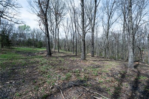 18351 Daisy Circle Spur, Rogers, AR, 72756 | Card Image
