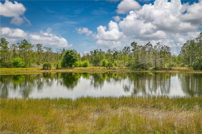 9280 River Otter Dr, House other with 5 bedrooms, 3 bathrooms and null parking in FORT MYERS FL | Image 39