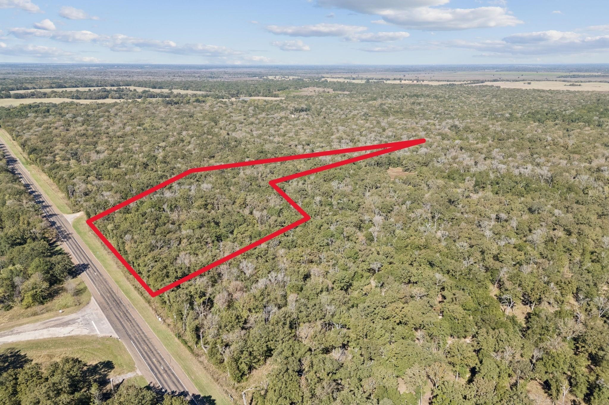 Land in Cayuga 3