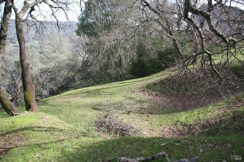  Juniper Drive, Napa, CA, 94558 | Card Image