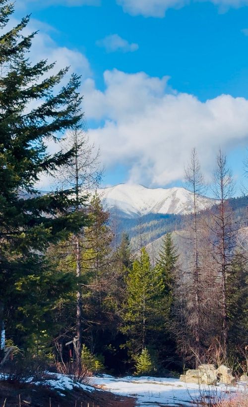 Lots 5 & 6 Panoramic View Drive, Libby, MT, 59923 | Card Image