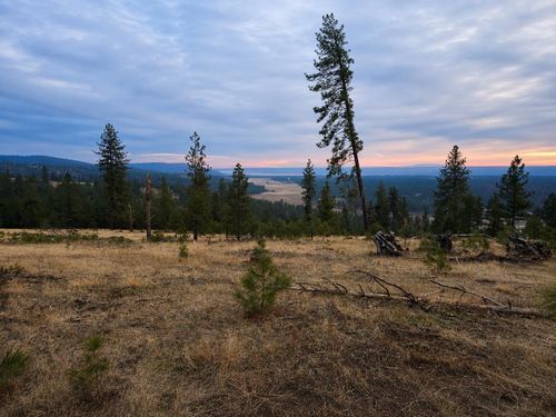 5xxx Highway 231, Ford, WA, 99013 | Card Image