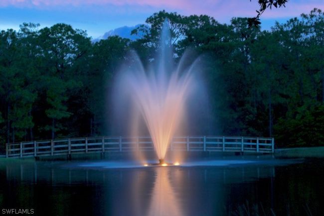 TAKE A WALK ON THE BOARDWALK THROUGH OUR VERY OWN PRESERVE BEHIND THIS BEAUTIFUL FOUNTAIN! | Image 44