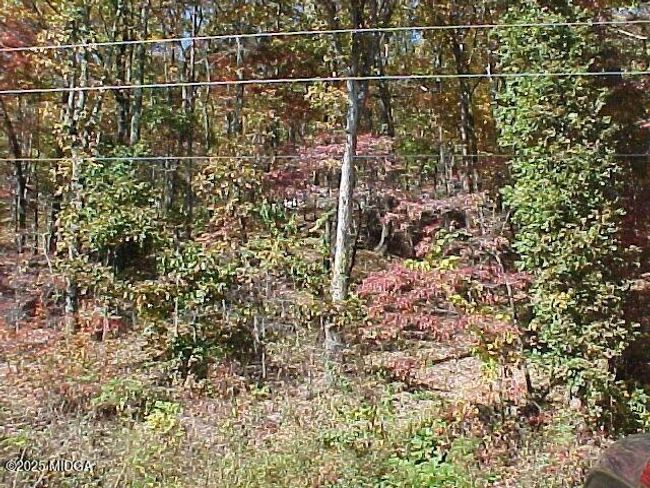 5 | Image 5