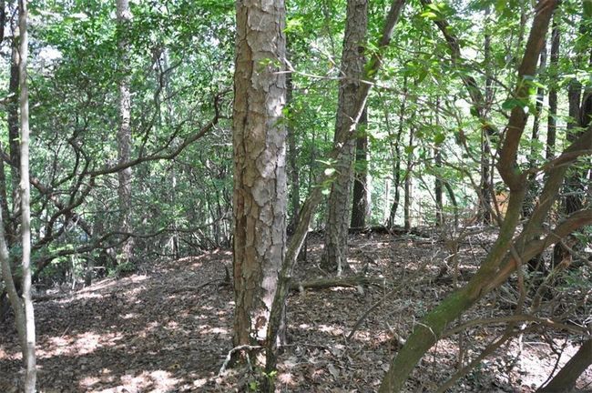 64 Wrens Nest, Home with 0 bedrooms, 0 bathrooms and null parking in Big Canoe GA | Image 9