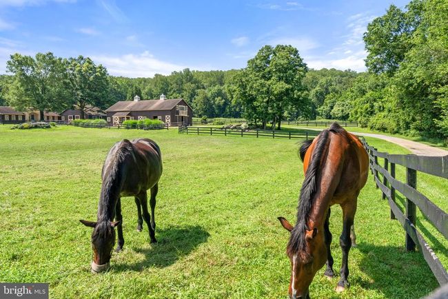 6289 Coon Tree Rd, House other with 2 bedrooms, 3 bathrooms and null parking in THE PLAINS VA | Image 34