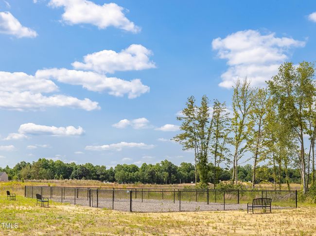 DOG PARK | Image 14