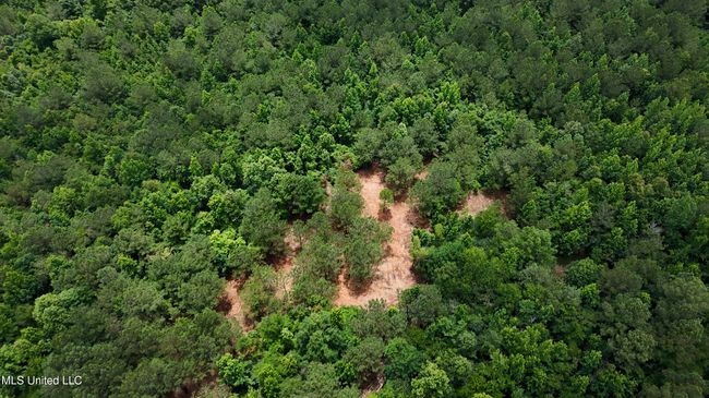 DJI_20250605160535_0677_D.00_03_28_24.St | Image 36