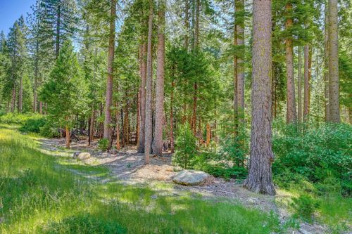 11 Timber Trail Ct, Arnold, CA, 95223 | Card Image