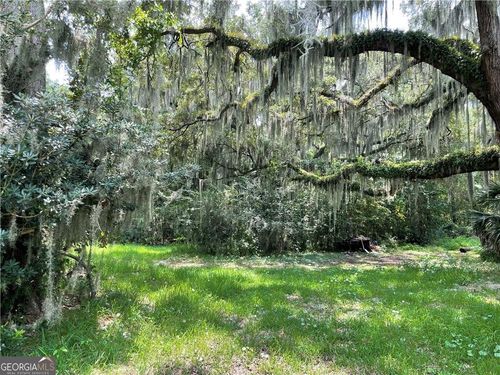 TR 2 & TR 3 Emanuel Farm Rd, Brunswick, GA, 31525-2709 | Card Image