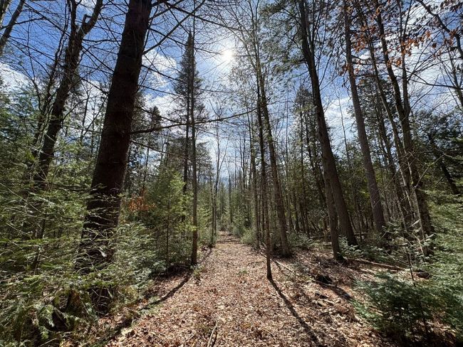 4233 Hardacre Trl, Home with 0 bedrooms, 0 bathrooms and null parking in Houghton Lake MI | Image 12
