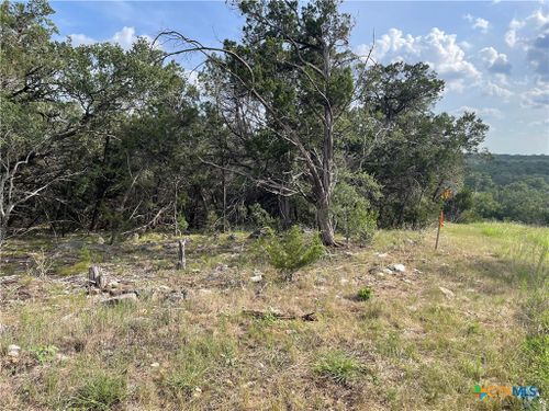 5663 Basilone Ridge, New Braunfels, TX, 78132 | Card Image