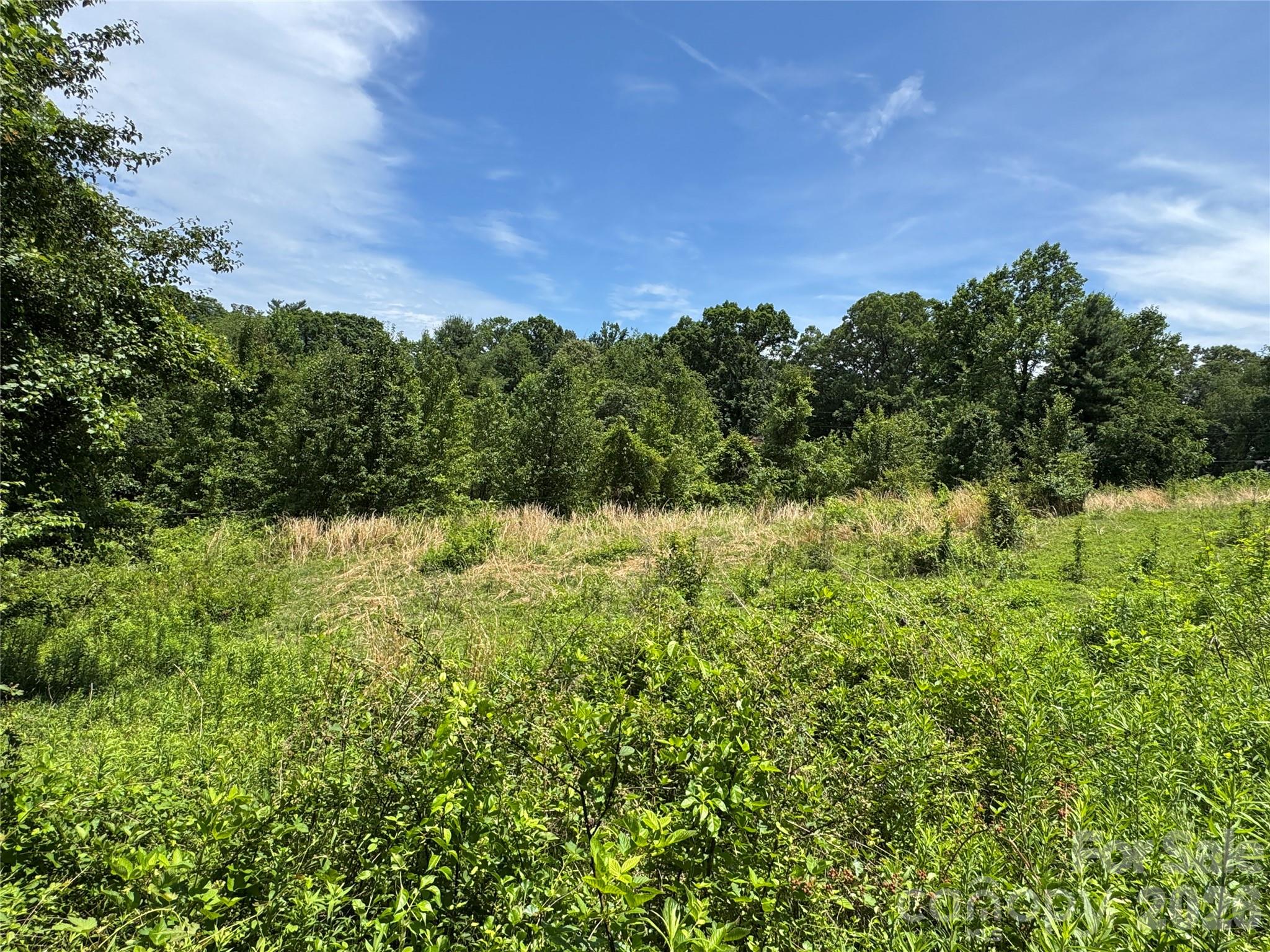 Land in Candler 2