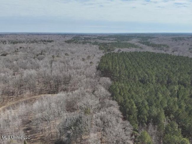 DJI_20250303113616_0019_V Medium | Image 20