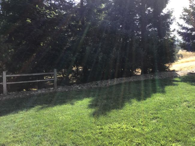205 Quail Meadow Ln, House other with 3 bedrooms, 3 bathrooms and 5 parking in Copperopolis CA | Image 20