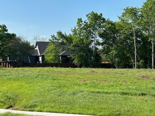33206 Worthing Ln, Home with 0 bedrooms, 0 bathrooms and null parking in Fulshear TX | Image 4
