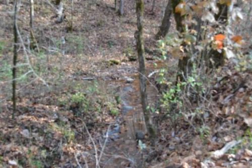 6.70ac Wet Mill Creek Rd, Celina, TN, 38551 | Card Image