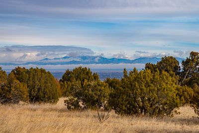 48 Three Sisters, Home with 0 bedrooms, 0 bathrooms and null parking in Cerrillos NM | Image 1