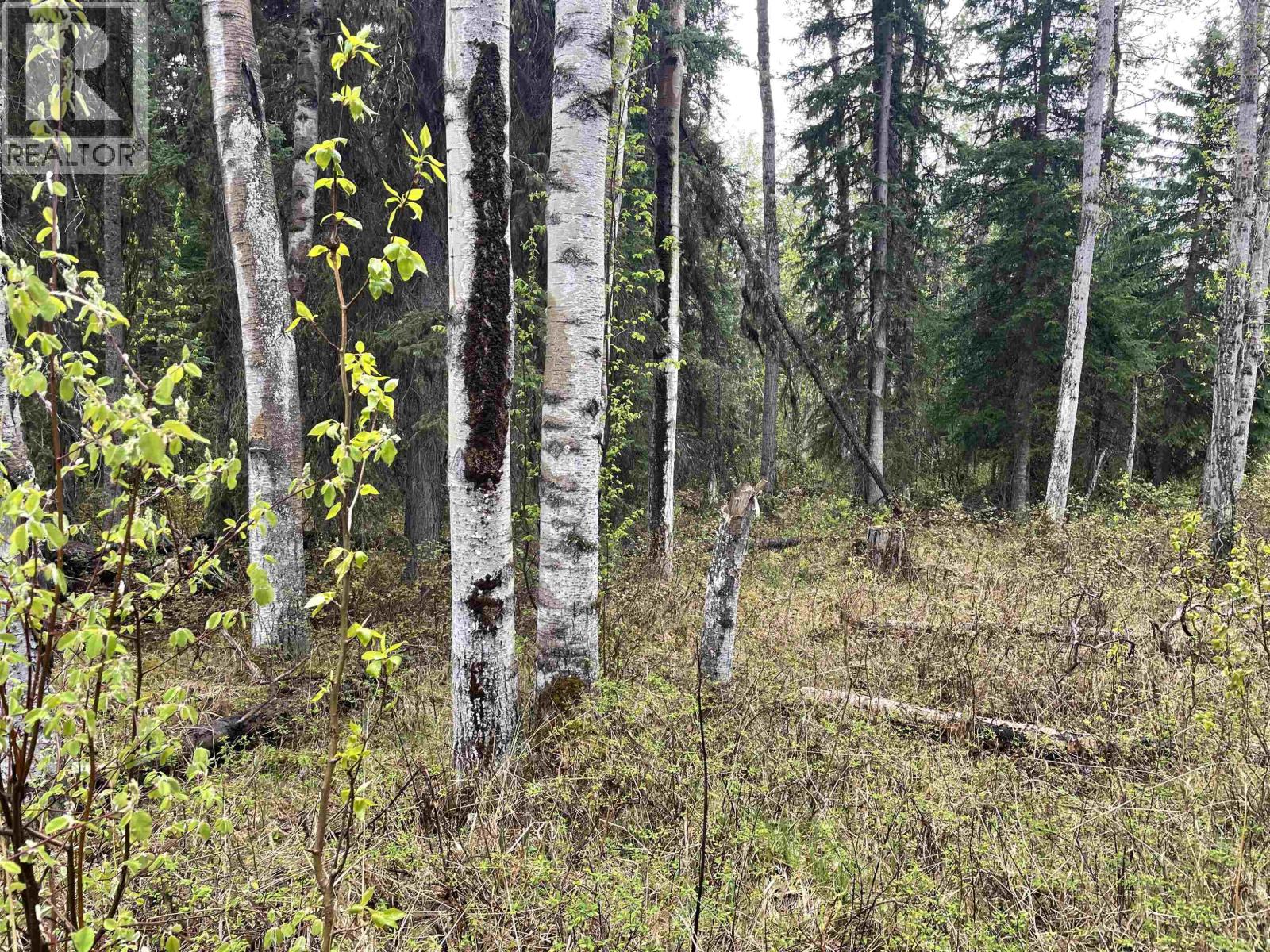 Land in Bridge Lake 2