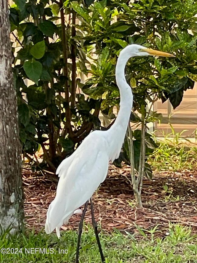 C217 - 179 Beechers Point Dr, Condo with 1 bedrooms, 1 bathrooms and null parking in Welaka FL | Image 25