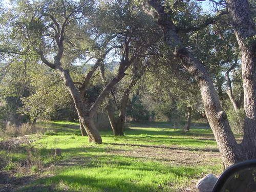 0-52975 Harper Rd, Miami, AZ, 85539-9612 | Card Image