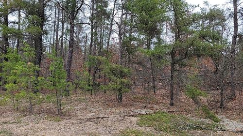 20 Acres Sandy Trail, Grayling Charter Township, MI, 49738 | Card Image