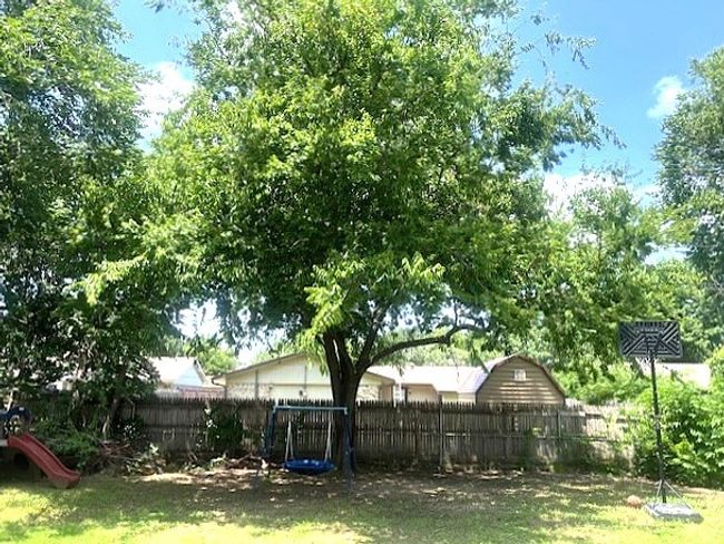 View of backyard | Image 24