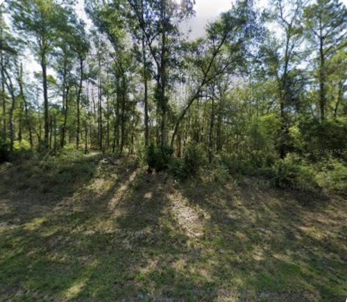 8965 N Lily Dr, DUNNELLON, FL, 34434-4433 | Card Image