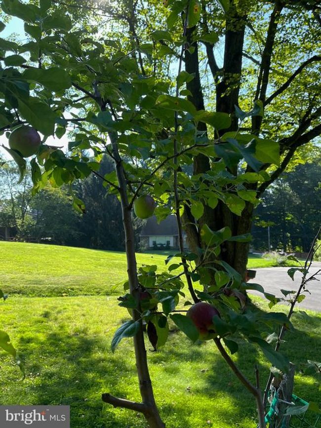 400 Sylvan Ln, House other with 4 bedrooms, 3 bathrooms and null parking in Devon PA | Image 44