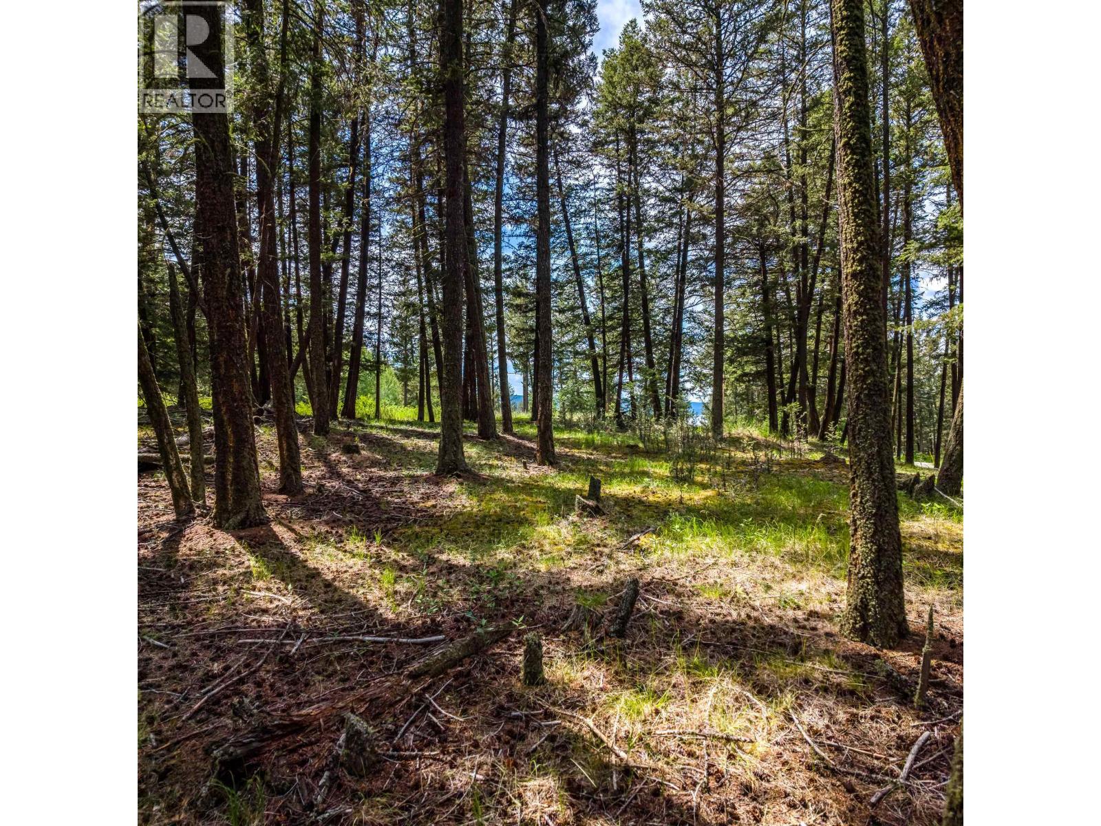 Land in Lac La Hache 5